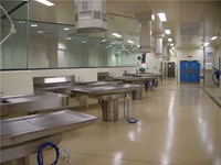 Surgical Skills Table