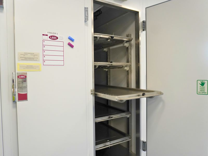 Untitled Design (14)