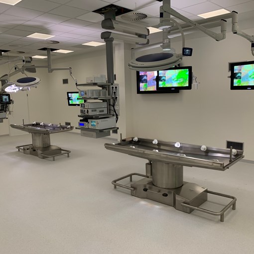 Mobile Anatomy Table
