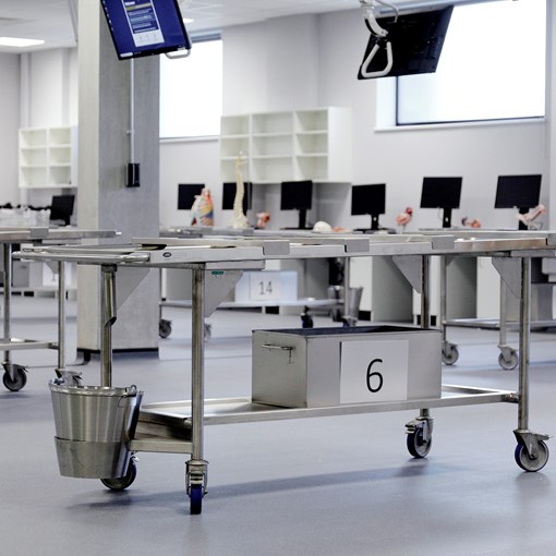 Dissection Trolley