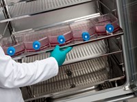 LEEC Culture Safe TOUCH CO2 Incubators