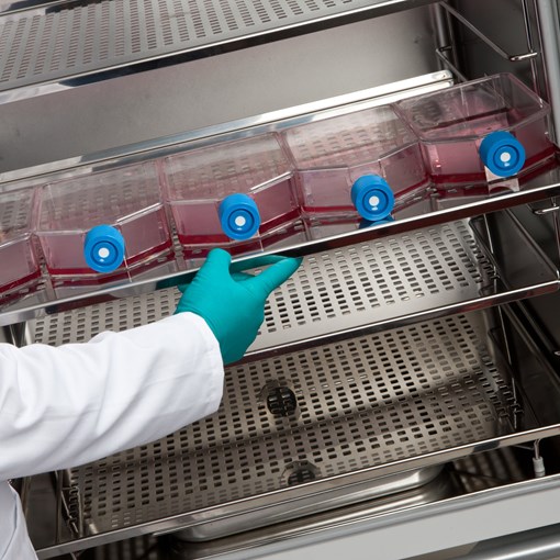LEEC Culture Safe TOUCH CO2 Incubators