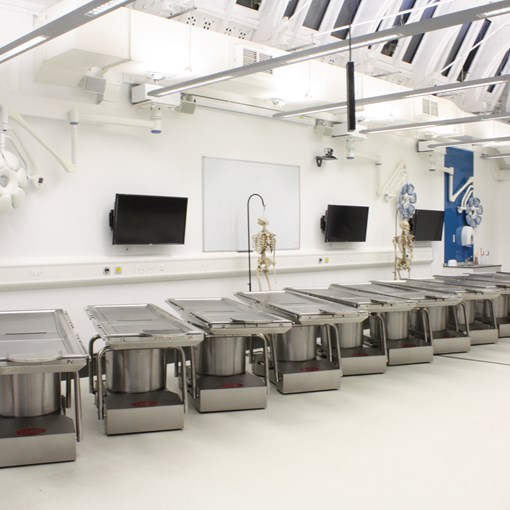 Mobile Anatomy Table